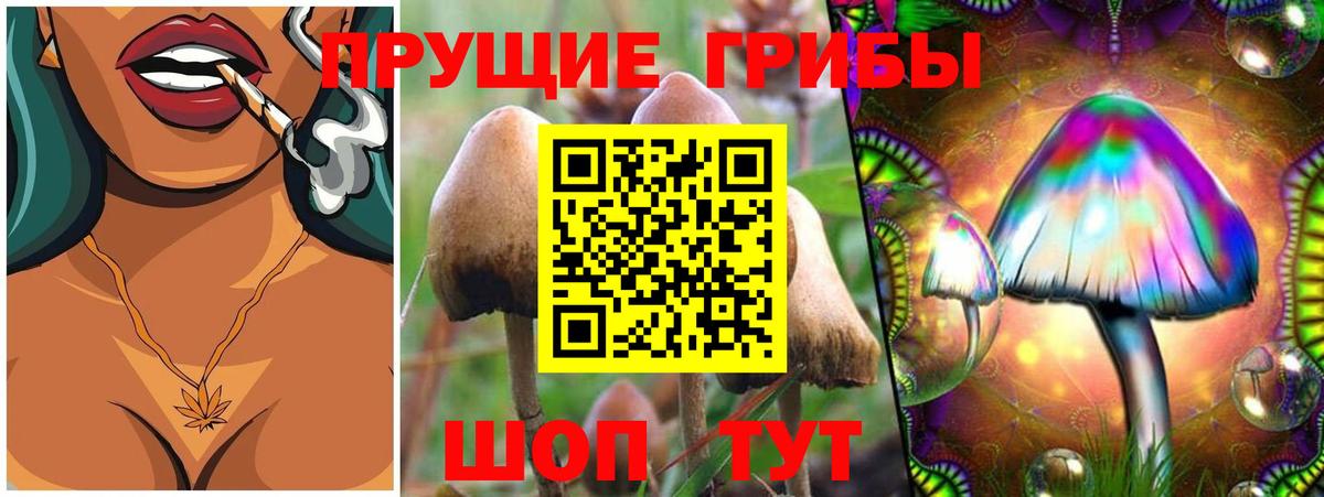 Галлюциногенные грибы мухоморы Южноуральск
