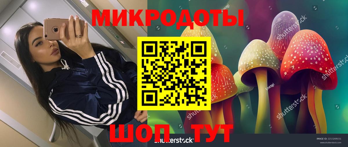 Псилоцибиновые грибы MAGIC MUSHROOMS  Вход с VPN  Псилоцибиновые грибы MAGIC MUSHROOMS  Южноуральск 